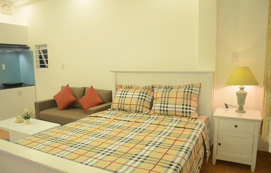 serviced apartment for rent in district 1 D199222 (8)